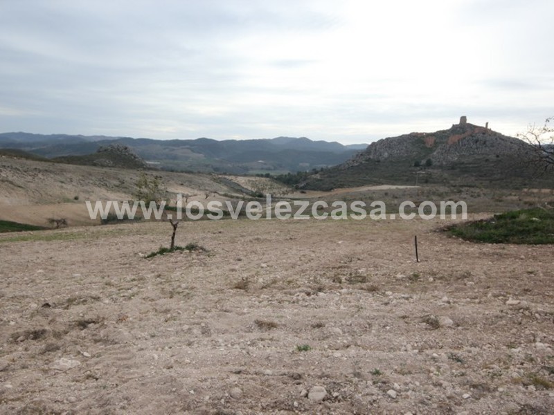 LVC363: Small Holding for sale in La Parroquia, Murcia