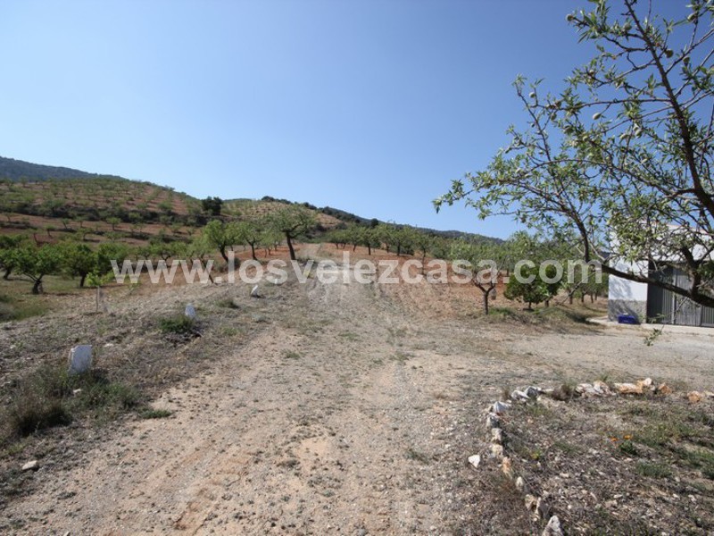 LVC376: Small Holding for sale in Velez-Rubio, Almería