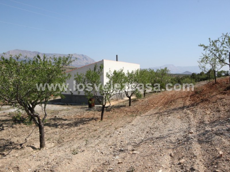 LVC376: Small Holding for sale in Velez-Rubio, Almería