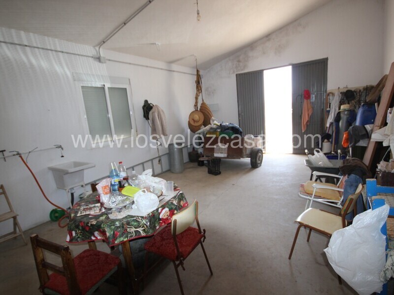 LVC376: Small Holding for sale in Velez-Rubio, Almería