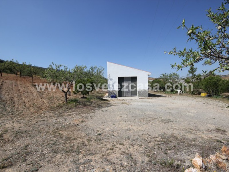 LVC376: Small Holding for sale in Velez-Rubio, Almería