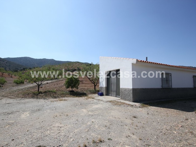 LVC376: Small Holding for sale in Velez-Rubio, Almería