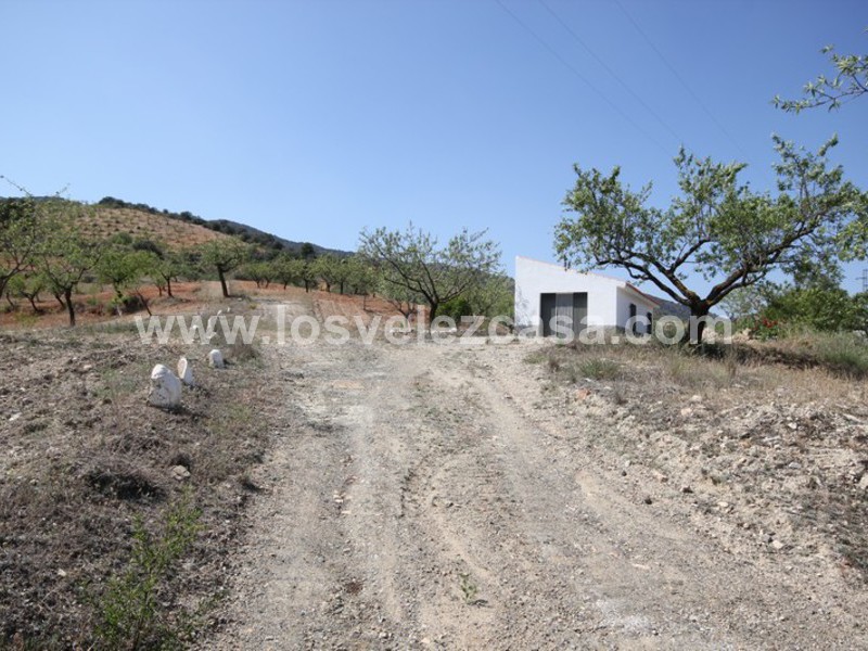 LVC376: Small Holding for sale in Velez-Rubio, Almería