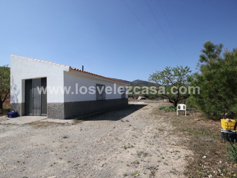 LVC376: Small Holding for sale in Velez-Rubio, Almería