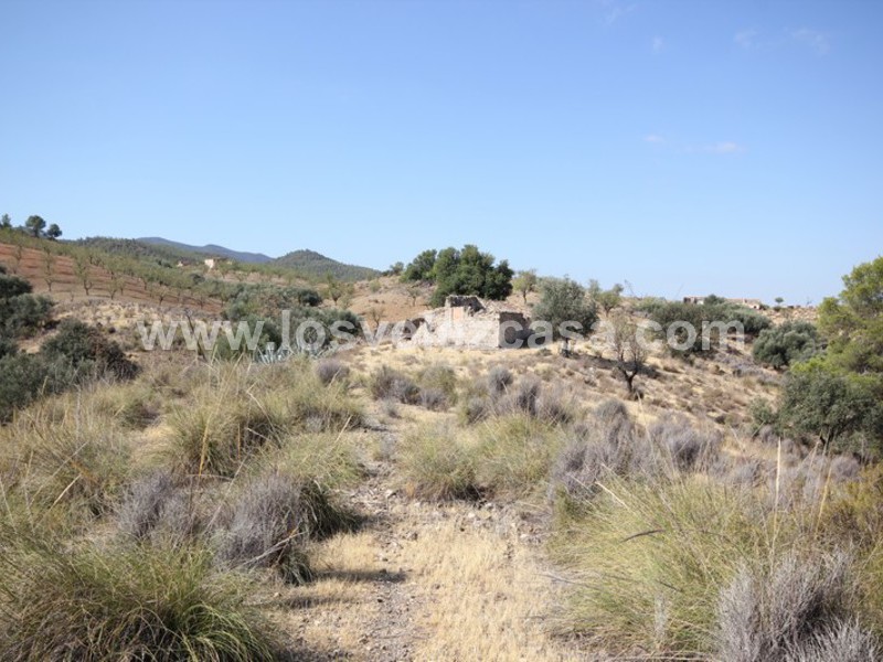 LVC388: Country Property to Reform for sale in Fontanares, Murcia