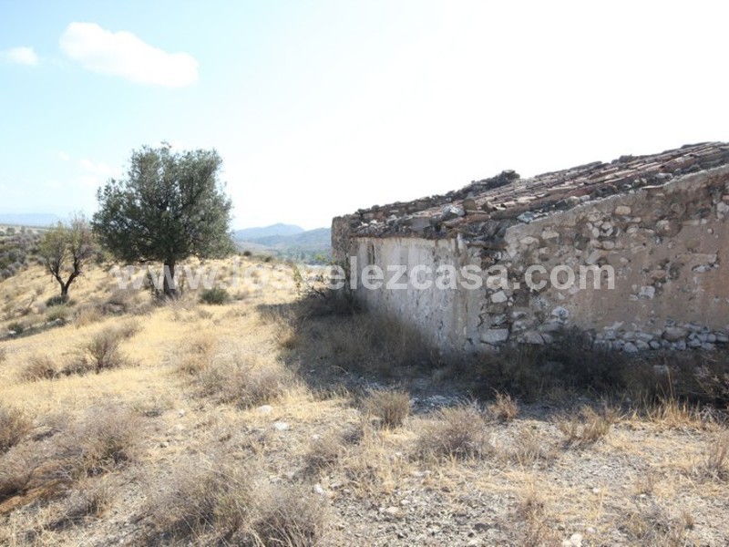 LVC388: Country Property to Reform for sale in Fontanares, Murcia