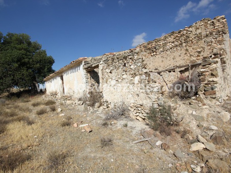 LVC388: Country Property to Reform for sale in Fontanares, Murcia