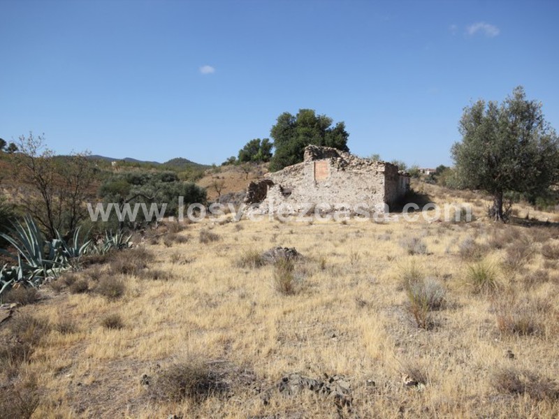 LVC388: Country Property to Reform for sale in Fontanares, Murcia