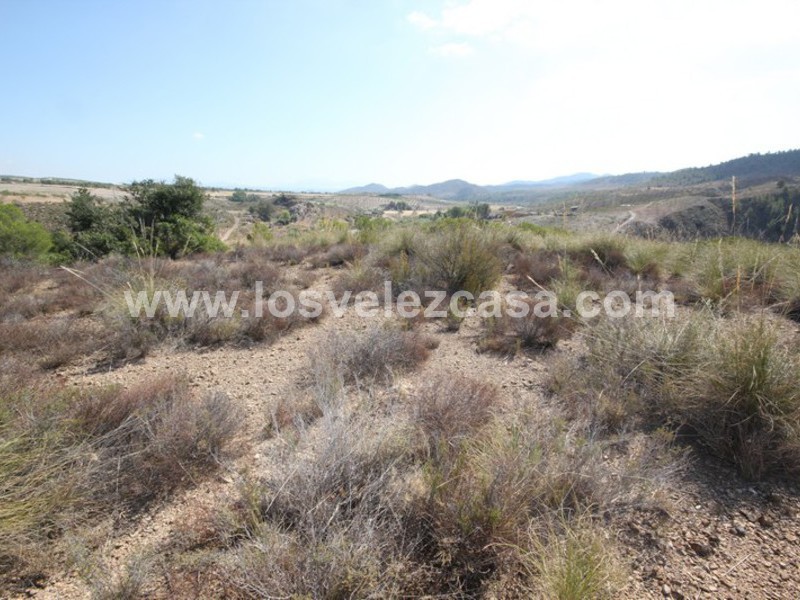 LVC390: Terreno en venta en Fontanares, Murcia