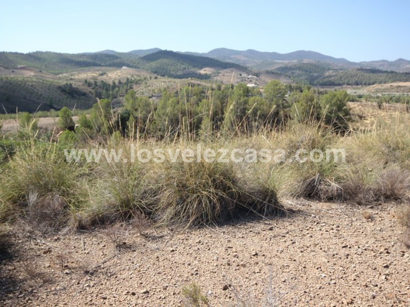 LVC390: Terreno en venta en Fontanares, Murcia