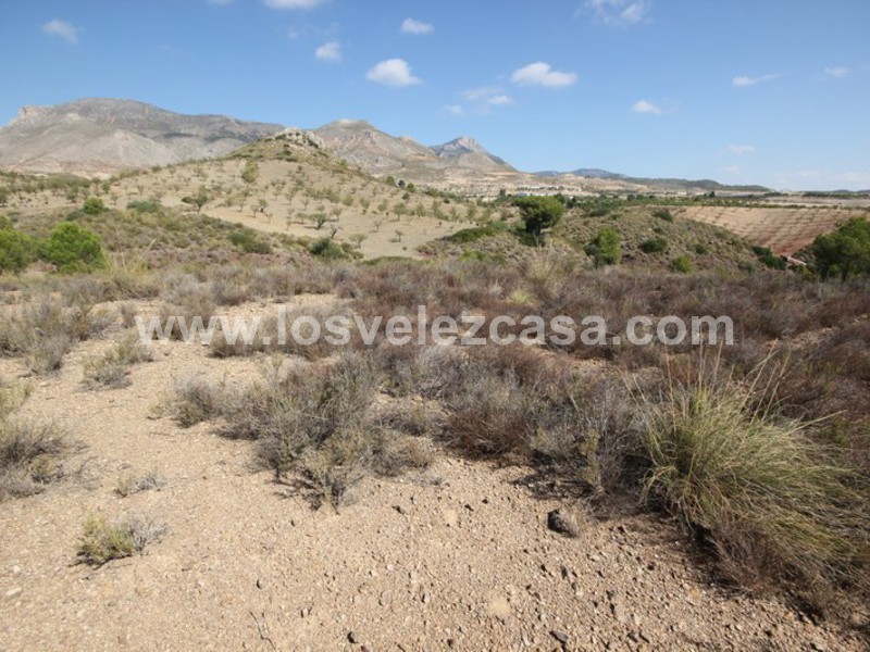 LVC390: Terreno en venta en Fontanares, Murcia