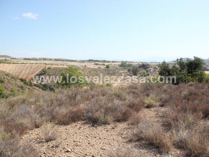 LVC390: Terreno en venta en Fontanares, Murcia