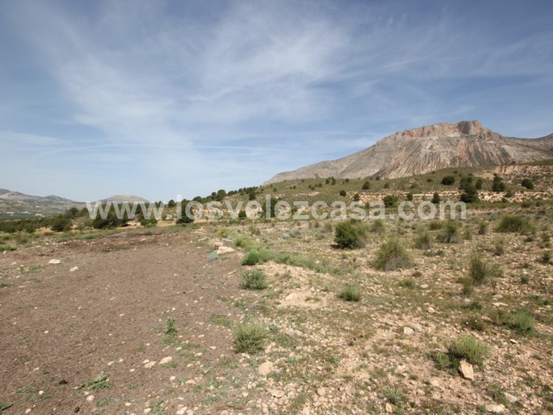 LVC402: Land for sale in Velez-Blanco, Almería