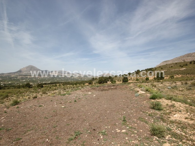 LVC402: Land for sale in Velez-Blanco, Almería