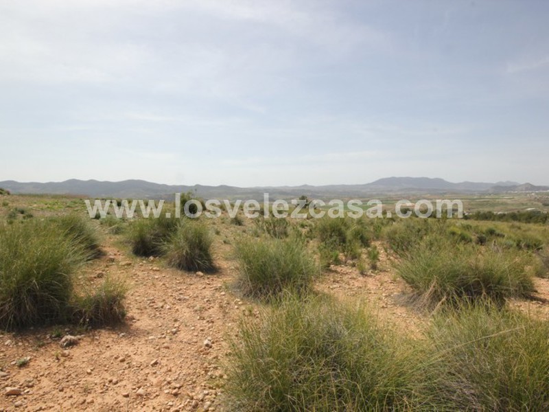 LVC402: Land for sale in Velez-Blanco, Almería