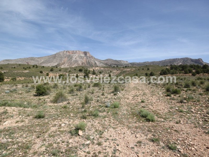 LVC402: Land for sale in Velez-Blanco, Almería