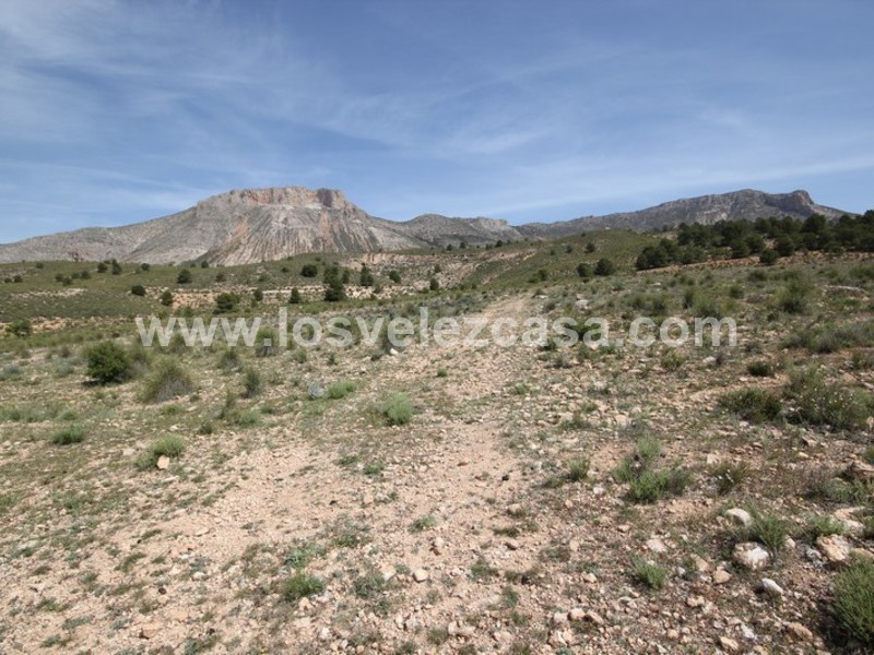 LVC402: Land for sale in Velez-Blanco, Almería