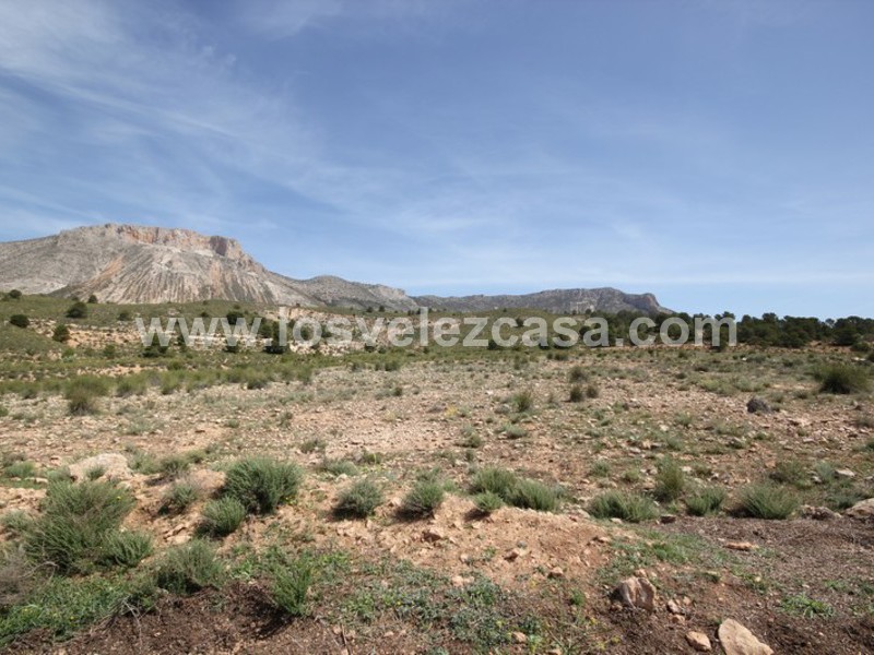 LVC402: Land for sale in Velez-Blanco, Almería