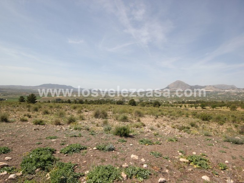 LVC402: Land for sale in Velez-Blanco, Almería