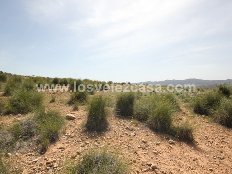 LVC402: Land for sale in Velez-Blanco, Almería