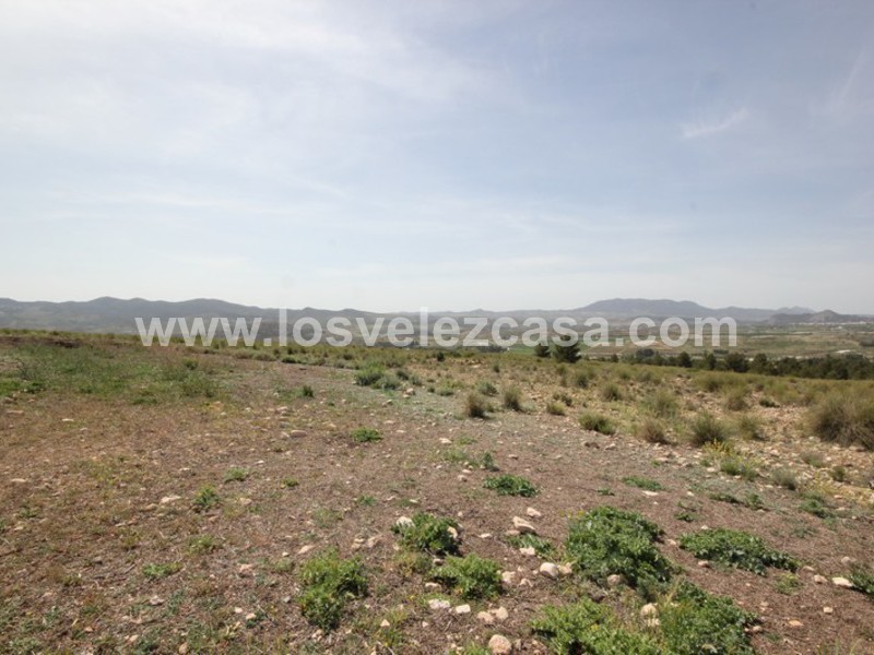 LVC402: Land for sale in Velez-Blanco, Almería