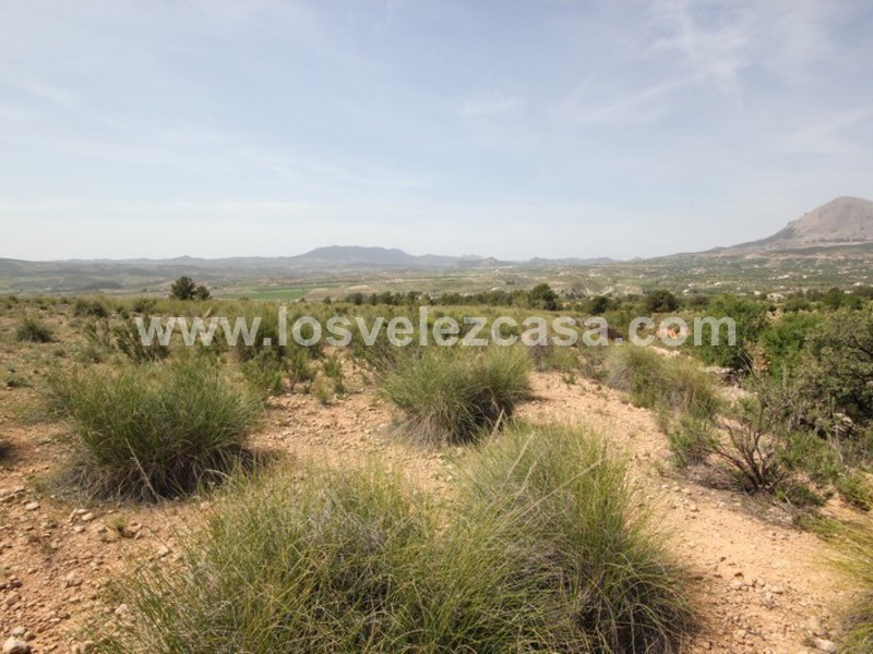 LVC402: Land for sale in Velez-Blanco, Almería