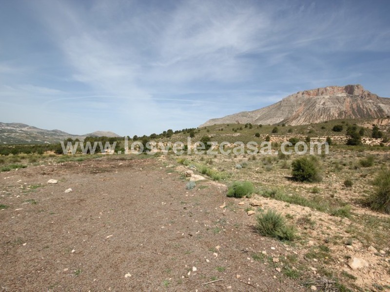 LVC402: Land for sale in Velez-Blanco, Almería