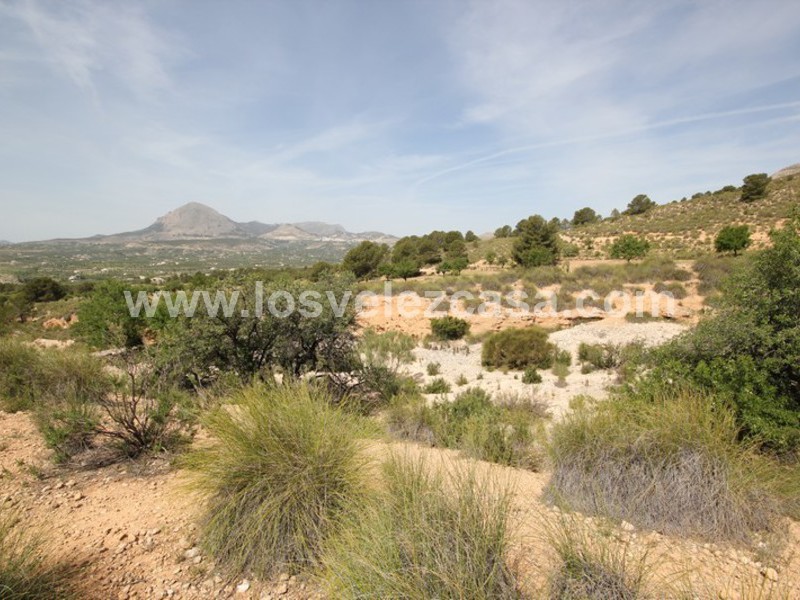 LVC402: Land for sale in Velez-Blanco, Almería