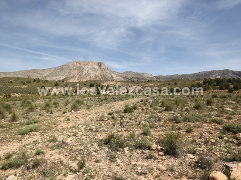 LVC402: Land for sale in Velez-Blanco, Almería