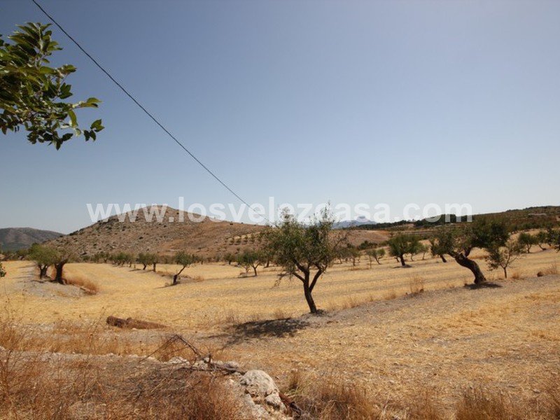 LVC410: Small Holding for sale in Maria, Almería