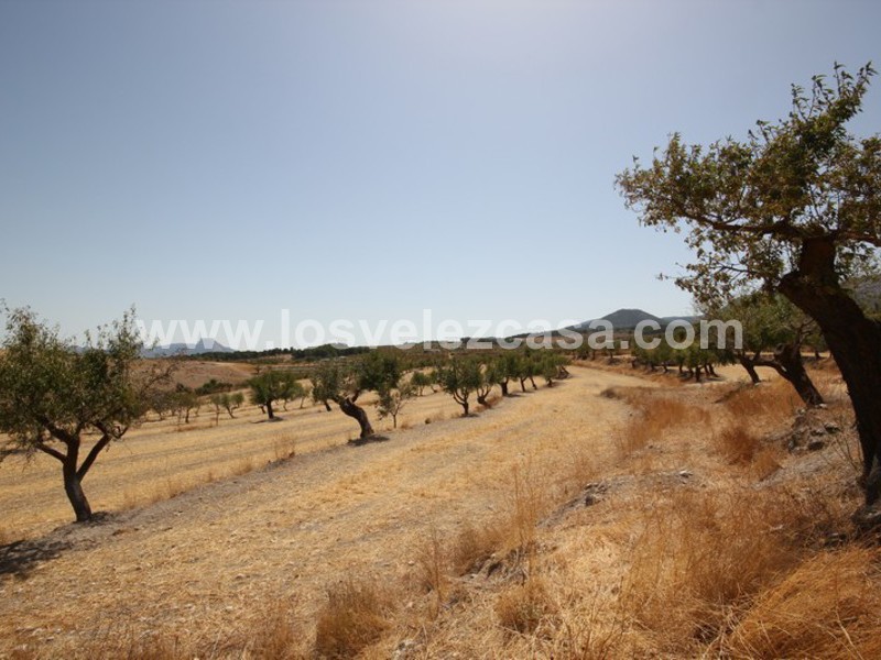 LVC410: Small Holding for sale in Maria, Almería