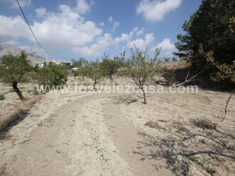 LVC423: Terreno en venta en Velez Rubio, Almería