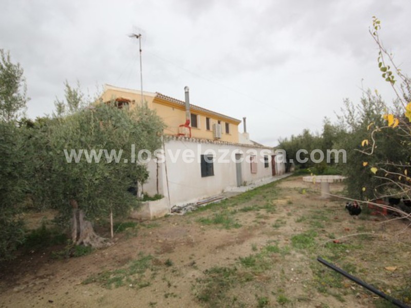 LVC424: Detached Character House for sale in Velez Blanco, Almería