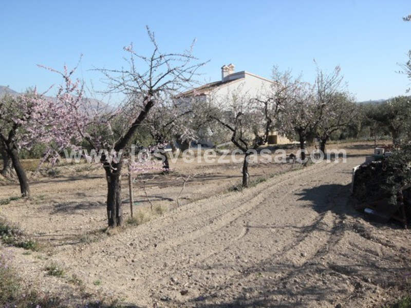 LVC428: Detached Character House for sale in Velez Rubio, Almería