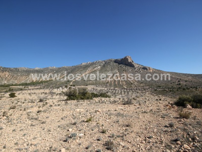 LVC429: Land for sale in Velez Blanco, Almería