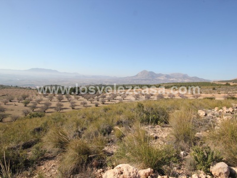 LVC429: Land for sale in Velez Blanco, Almería