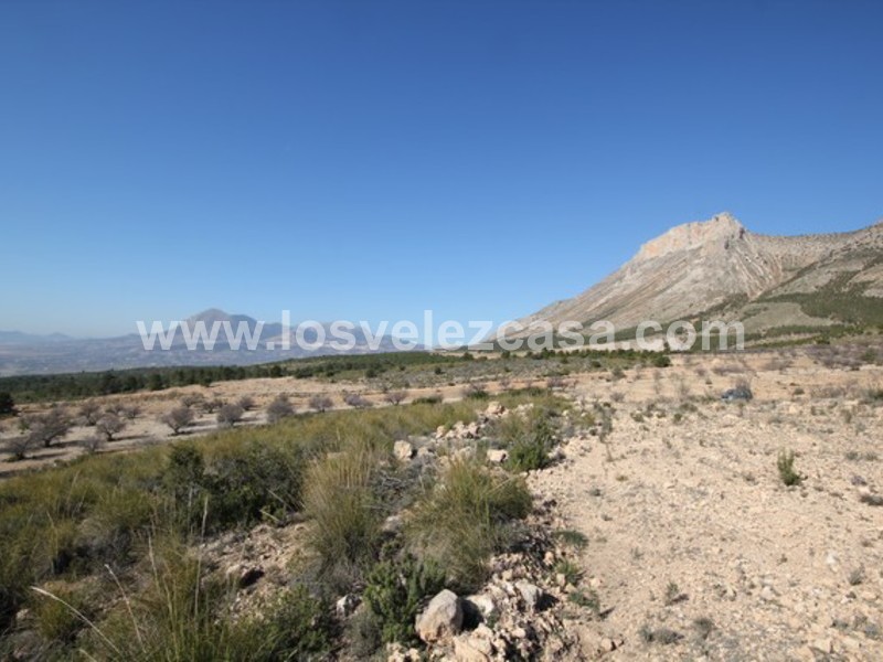 LVC429: Land for sale in Velez Blanco, Almería