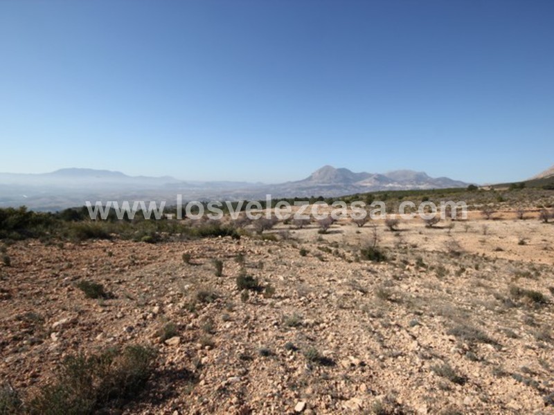 LVC429: Land for sale in Velez Blanco, Almería