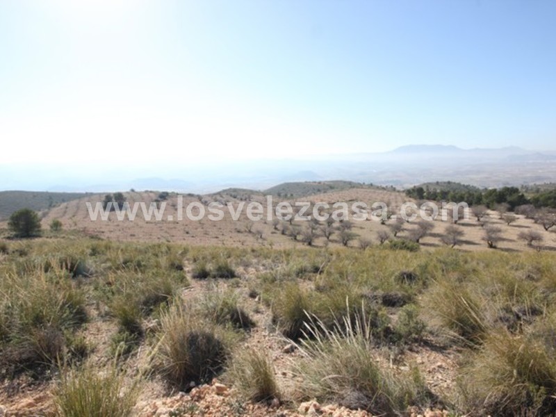 LVC429: Land for sale in Velez Blanco, Almería