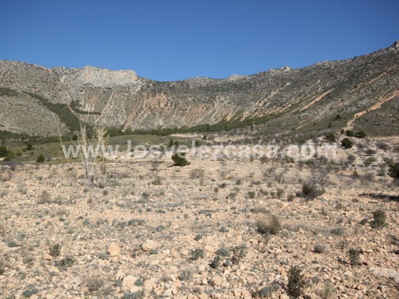 LVC429: Land for sale in Velez Blanco, Almería