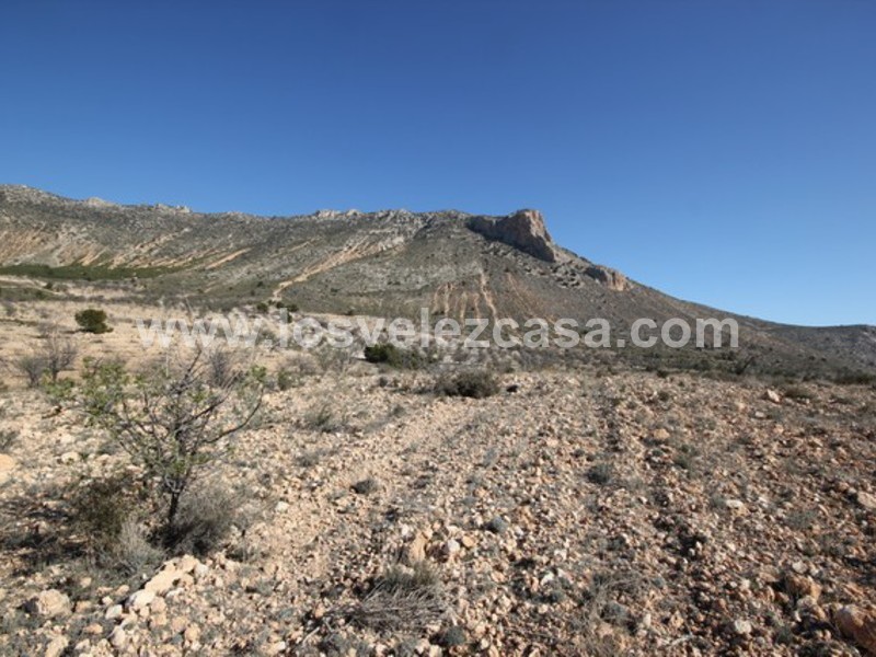 LVC429: Land for sale in Velez Blanco, Almería