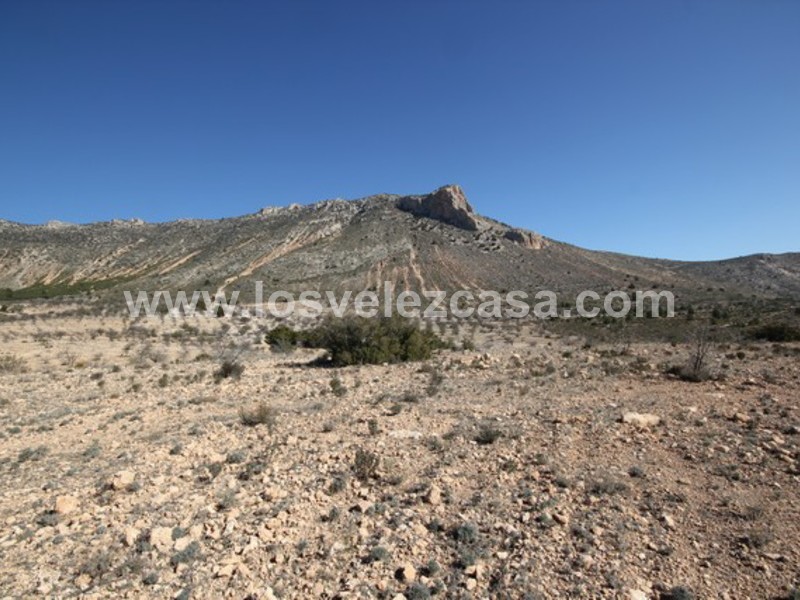 LVC429: Land for sale in Velez Blanco, Almería