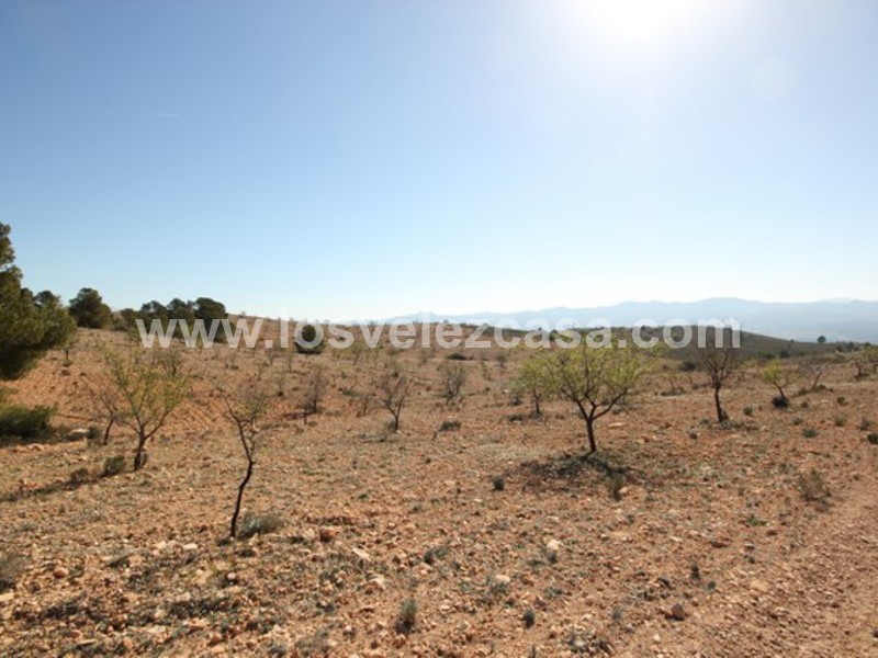 LVC429: Land for sale in Velez Blanco, Almería