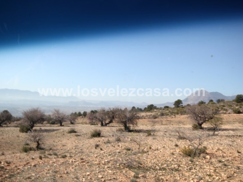 LVC429: Land for sale in Velez Blanco, Almería