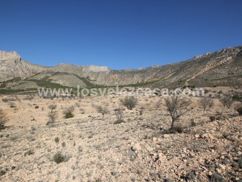 LVC429: Land for sale in Velez Blanco, Almería