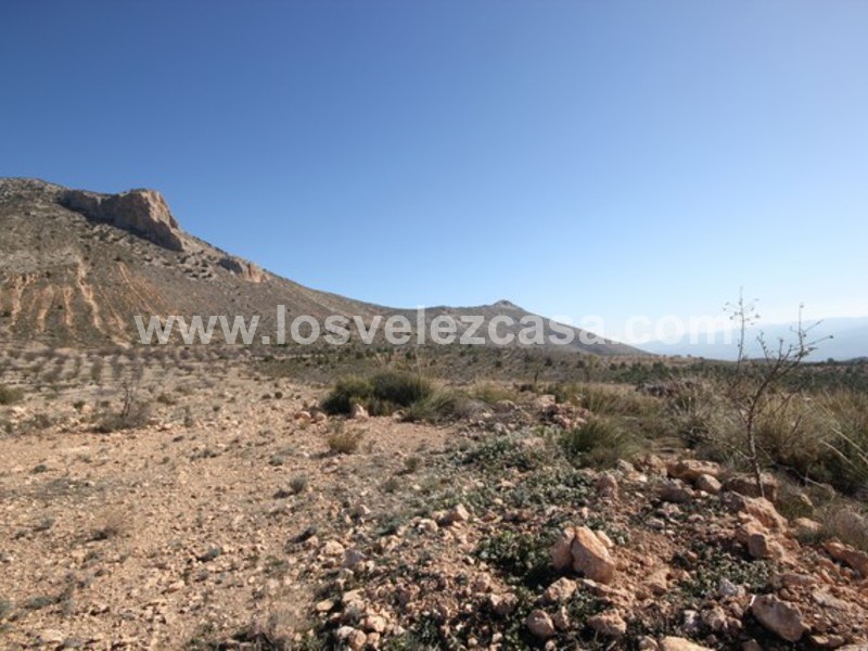 LVC429: Land for sale in Velez Blanco, Almería