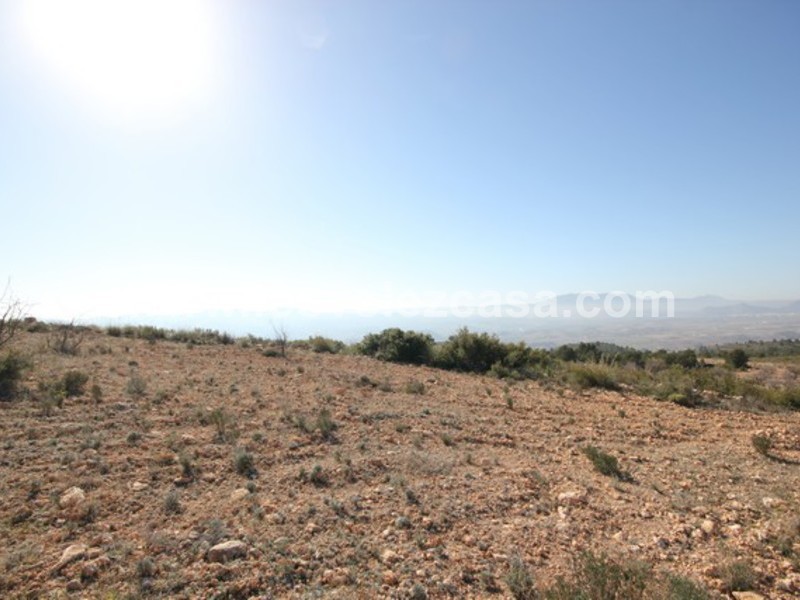 LVC429: Land for sale in Velez Blanco, Almería