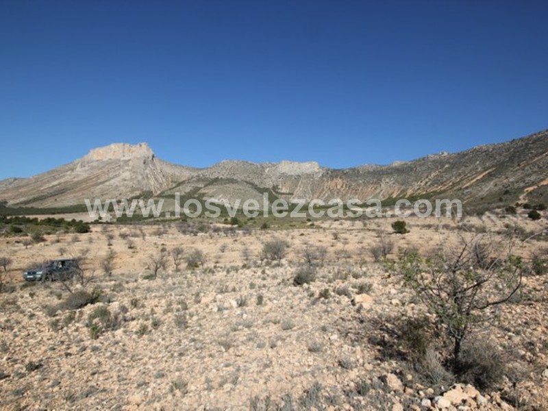 LVC429: Land for sale in Velez Blanco, Almería