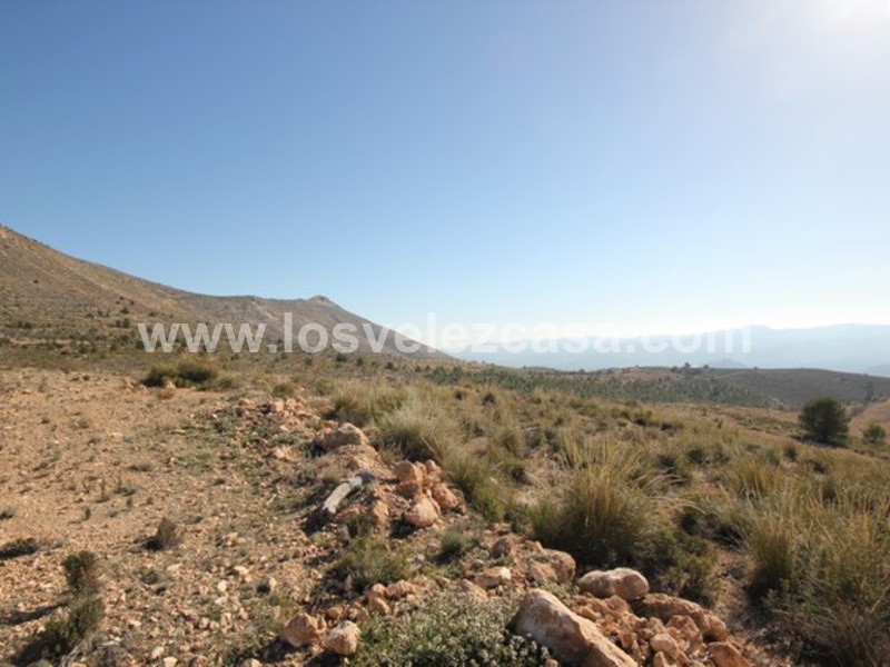 LVC429: Land for sale in Velez Blanco, Almería