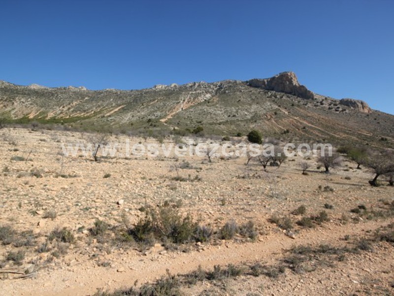 LVC429: Land for sale in Velez Blanco, Almería